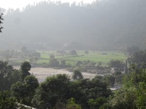 Irrigated Fields along Lodhiyan River