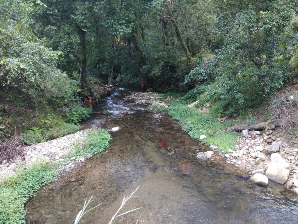 Chirapani Stream