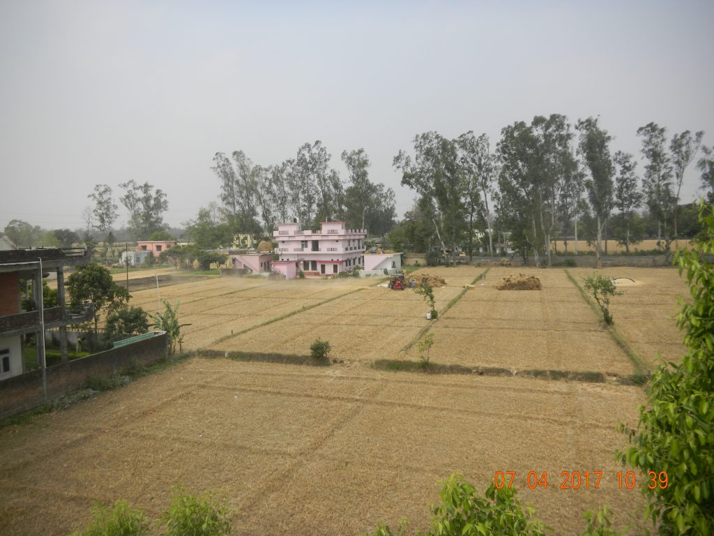 Mechanisation and land holding sizes increase in Terai of Sharda