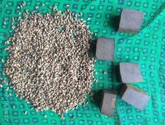 Villagers make bathing soap from Neem seeds
