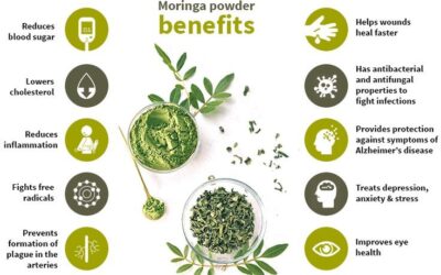 Heath Benefits of Moringa